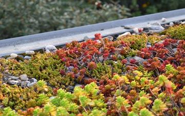 the cost of West Heath green roof installation