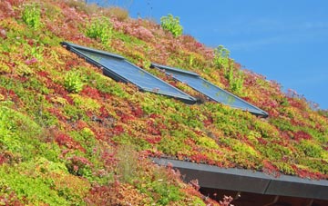 West Heath living roof systems
