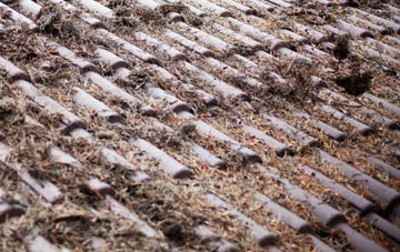 West Heath roof cleaning companies