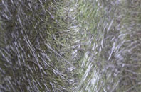 West Heath fibreglass roof work